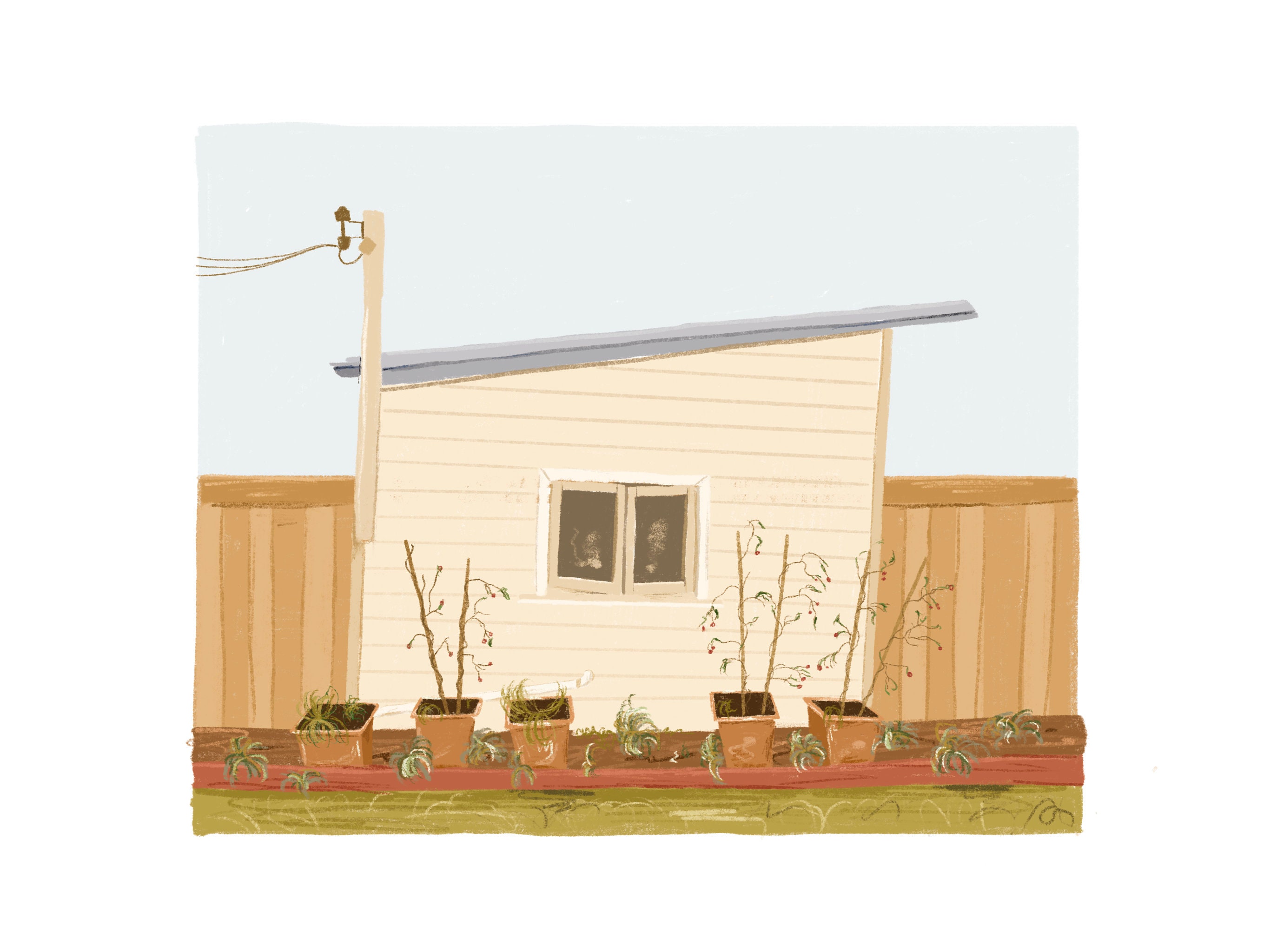 Garden Shed Art Print/Digital Drawing Limited Edition Etsy