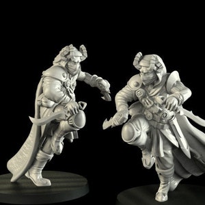 Tiefling Rogue Miniature  | RPG Minis | D&D | DND | RPG | Tabletop Gaming |  From Cross Lances