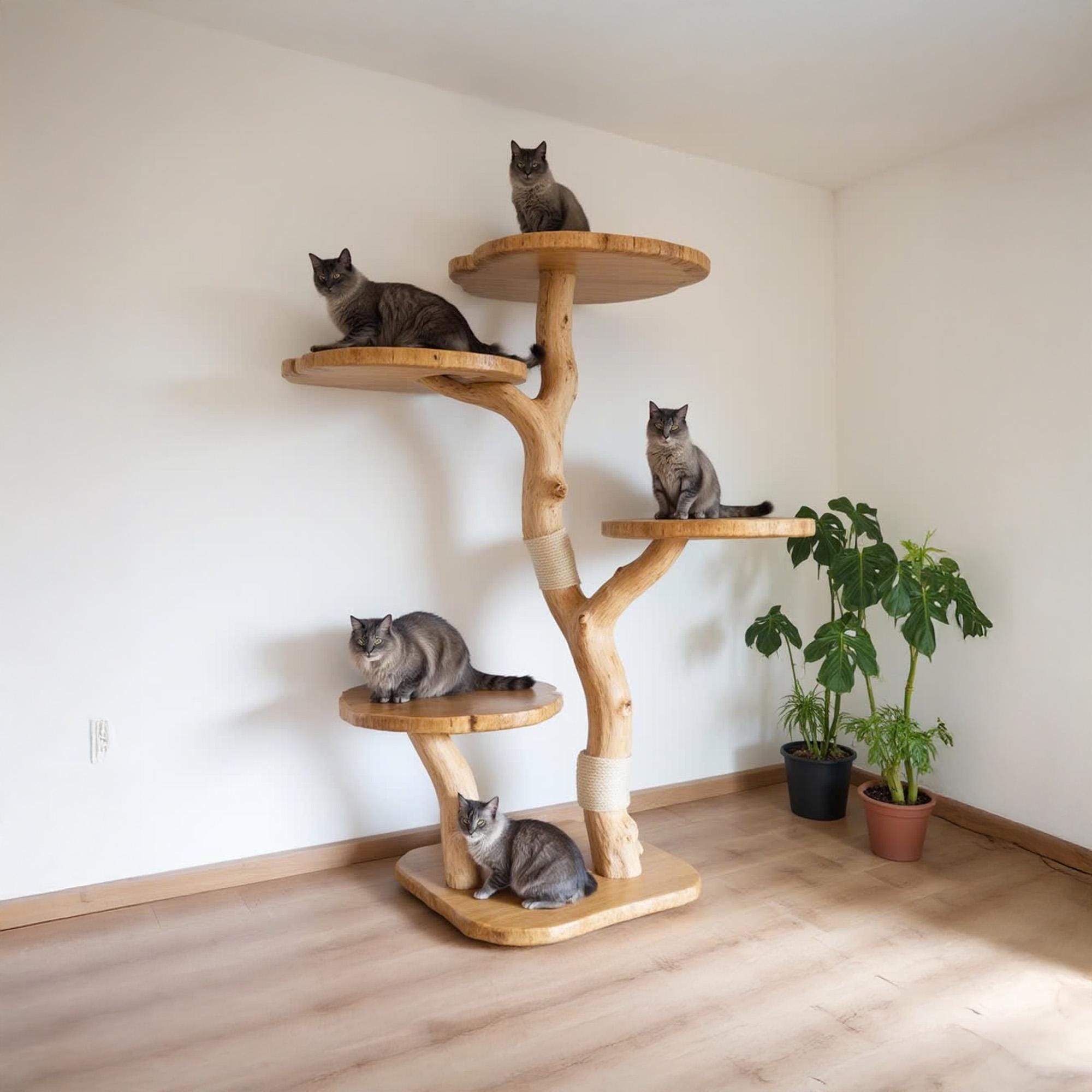 Driftwood Diy Wood Cat Tree Build Your Own Cat Tree Plans Homemade