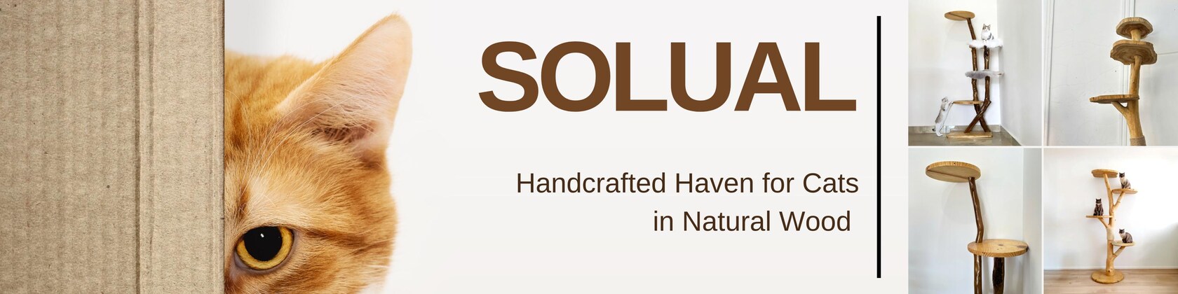 NODEL DESIGN × solworks solol wood Mellow Naturalista Classic 12