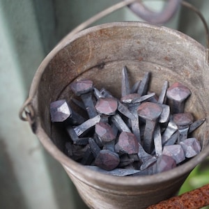 Pu&ograve; includere: Un secchio di metallo pieno di una collezione di chiodi arrugginiti. Il secchio &egrave; fatto di metallo zincato e ha un manico.