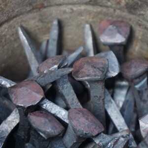 May include: A metal bucket filled with a collection of hand-forged nails with square heads. The nails are various sizes and have a rustic, aged appearance.