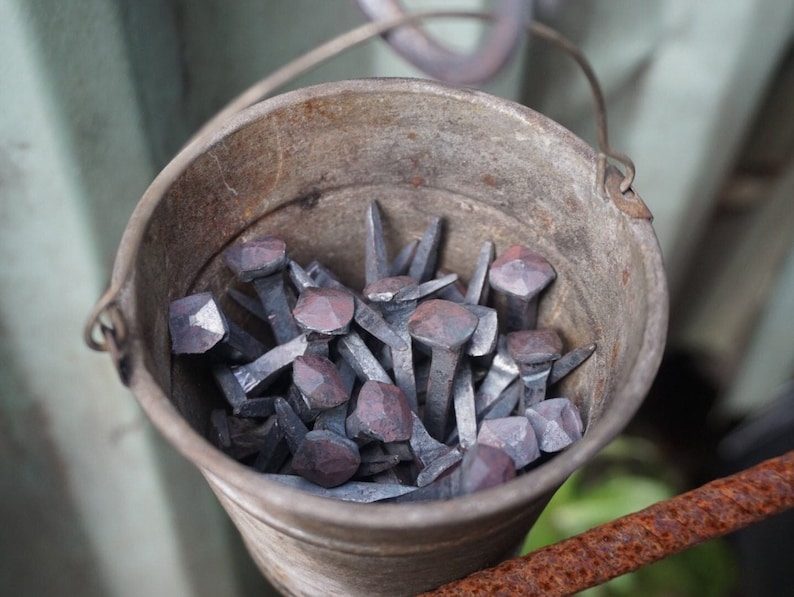 Pu&ograve; includere: Un secchio di metallo pieno di una collezione di chiodi arrugginiti. Il secchio &egrave; fatto di metallo zincato e ha un manico.
