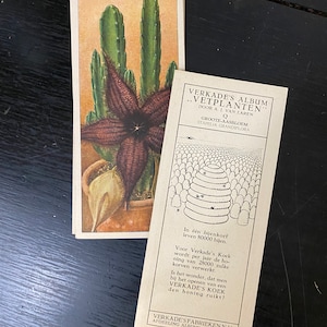 Vintage Floral Cards / Materiały do Junk Journal / Vintage ephemera