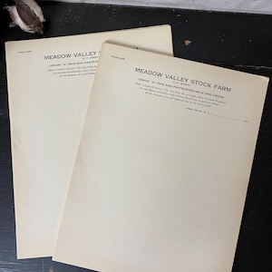 Membretes vintage en blanco - Juego de 20 - Efímeras antiguas - Efímeras vintage de granja - Efímeras de diario basura - Efímeras de papel