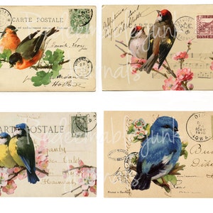 Cartoline uccelli, Ephemera stampabile, Junk Journal Ephemera, Vintage, Cartolina stampabile, Digitale