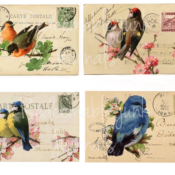 Birds Postcards, Printable Ephemera, Junk Journal Ephemera, Vintage, Post Card Printable, Digital