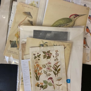 80 piece Vintage Antique Book Page Pack  - Junk Journal Supplies - Ephemera - Assortment Book Page Bundle