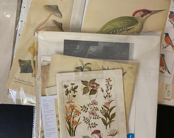Paquete de 80 páginas de libros antiguos vintage - Materiales para diarios de recortes - Artículos efímeros - Surtido de páginas de libros