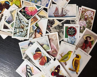 Könnte beinhalten: Eine Sammlung von Vintage-Zigarettenkarten mit verschiedenen Motiven, darunter Schmetterlinge, Vögel, Blumen, Schiffe und Flugzeuge. Die Karten sind auf dickem Papier mit leuchtenden Farben und detaillierten Illustrationen gedruckt. Der Text auf den Karten lautet "Player's Cigarettes" und "Wills Cigarettes".