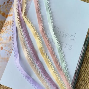 Può includere: Bordura in pizzo elastico dai colori pastello nelle tonalità lavanda, giallo, rosa e verde menta. La bordura ha un bordo smerlato ed è esposta su una superficie bianca con la parola "Dried" visibile.