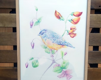 Acuarela de un pájaro (pardalote) en canson acuarela rag A4 papel