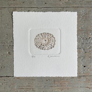 May include: A small art print with a circular illustration in brown and beige tones. The artwork is set on a white paper with a deckled edge. The print is numbered 8/16 and signed by R. Lourenco. The print is on a wooden surface.