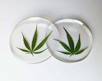 Ashtray Made With Pressed Hemp Leaf Preserved in Epoxy Resin Handmade Ashtray Real Dried Leaves
