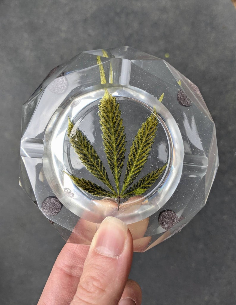 Ashtray Made With Pressed Hemp Leaf Preserved in Epoxy Resin Handmade Ashtray Real Dried Leaves