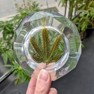 Ashtray Made With Pressed Hemp Leaf Preserved in Epoxy Resin Handmade Ashtray Real Dried Leaves