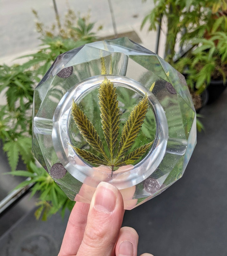 Ashtray Made With Pressed Hemp Leaf Preserved in Epoxy Resin Handmade Ashtray Real Dried Leaves