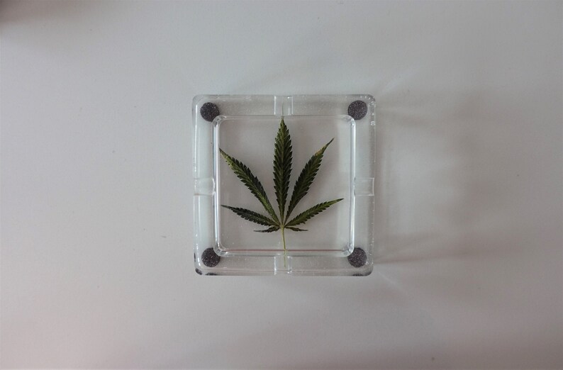 Ashtray Made With Pressed Hemp Leaf Preserved in Epoxy Resin Handmade Ashtray Real Dried Leaves