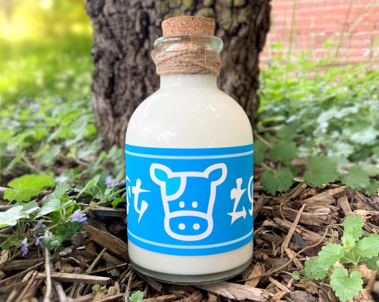 Bouteille de lait - Lon Lon Ranch - accessoire de cosplay - réplique de jeu  vidéo - boisson santé - bouteille en verre 18 oz - Etsy France