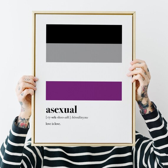 Asexual Pride Flag 2x3ft | LGBTQIA Ace Flag Fray Resistant Polyester