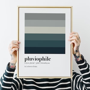 Può includere: Una stampa incorniciata con una cornice dorata e uno sfondo bianco. La stampa presenta un design astratto colorato con sfumature di grigio e blu. Il testo "pluviophile" è stampato sotto il design, insieme alla definizione: "[etym. pluvial + phile] böredönyms (n.) un amante della pioggia."