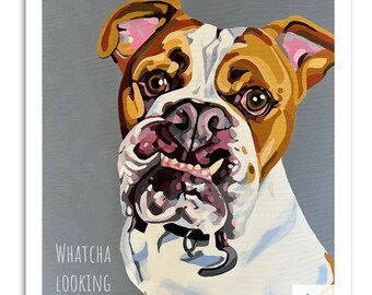 Bull Dog
