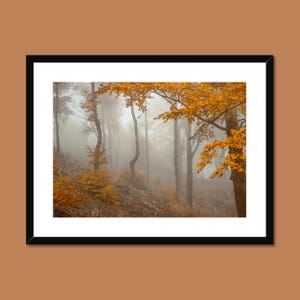 Stampa Woodland Autumn Mist, stampa da parete arancione caldo, scena di albero autunnale
