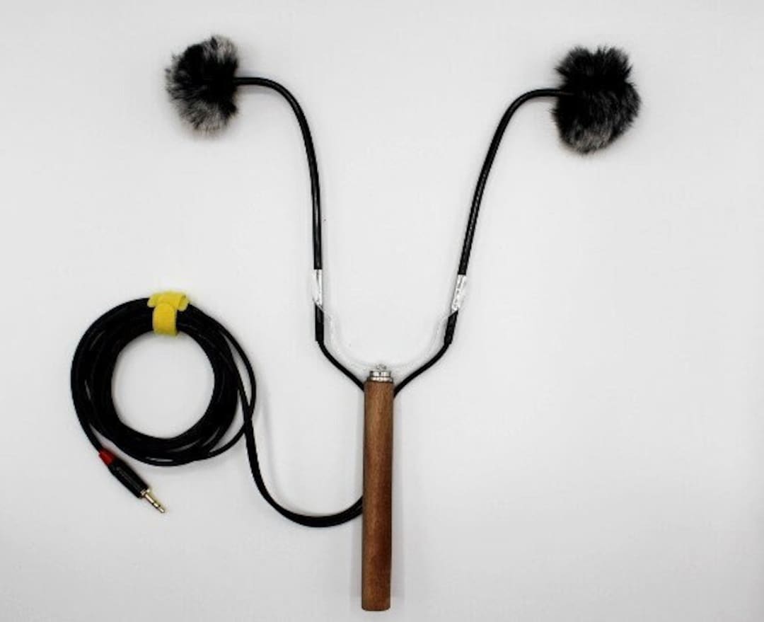 STEREO MICS / BINAURAL - Etsy