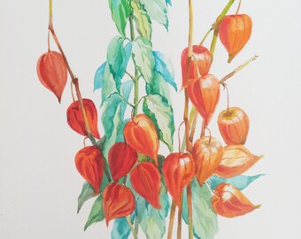 Winter Cherry Plant Etsy Winter Cherry Plant Etsy