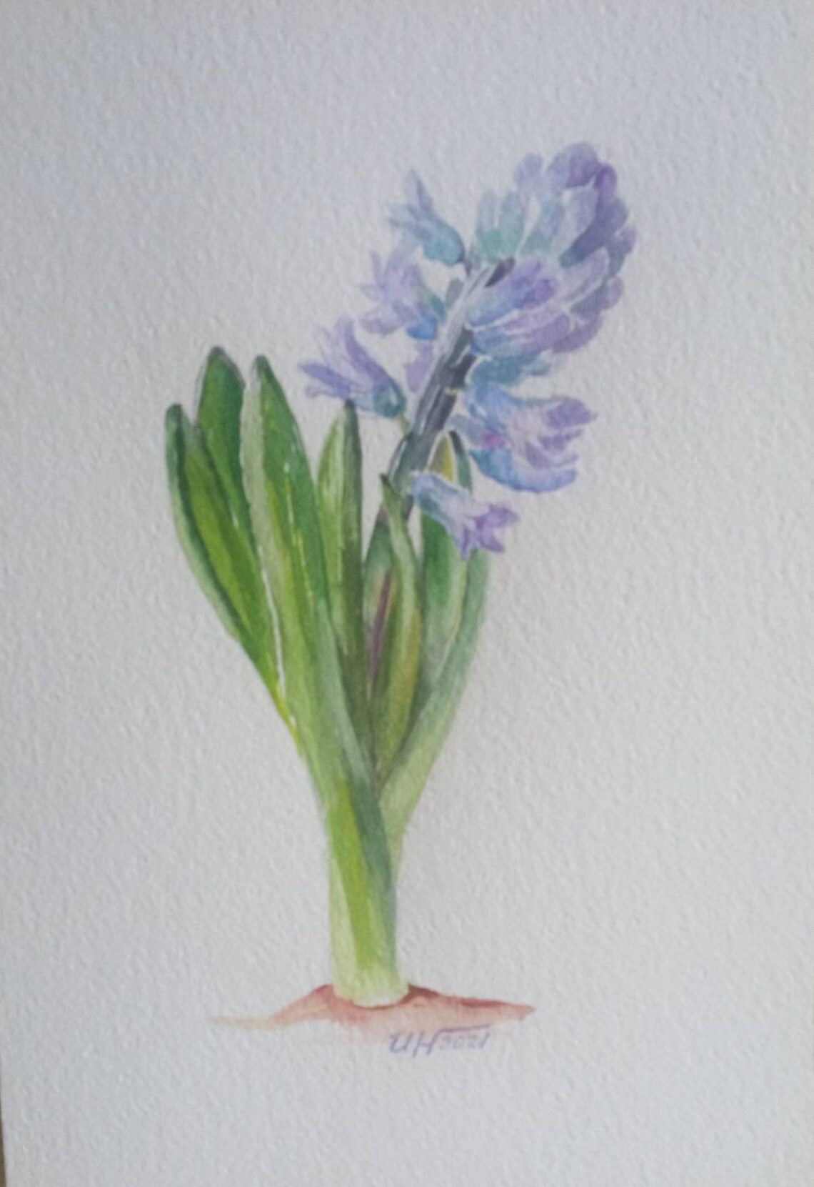 HYACINTH WATERCOLOR PAINTING Hyacinth original art hyacinth Etsy