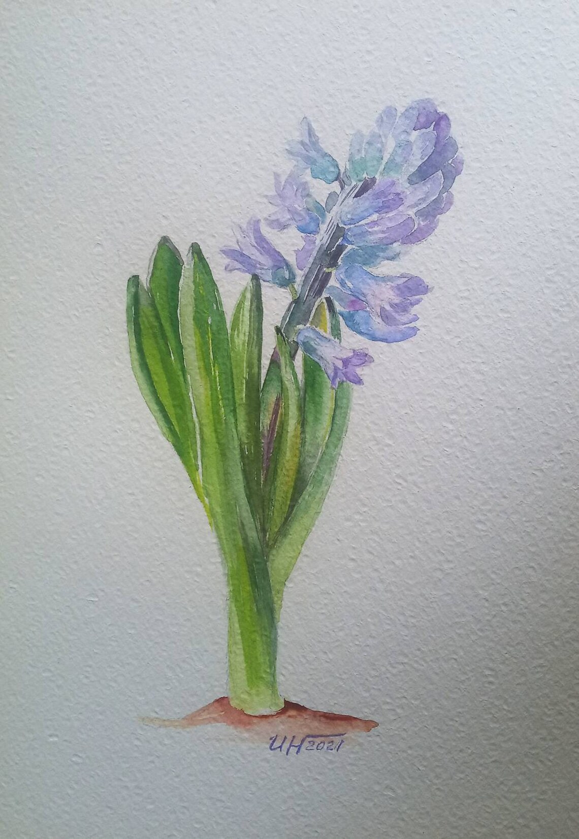 HYACINTH WATERCOLOR PAINTING Hyacinth original art hyacinth Etsy
