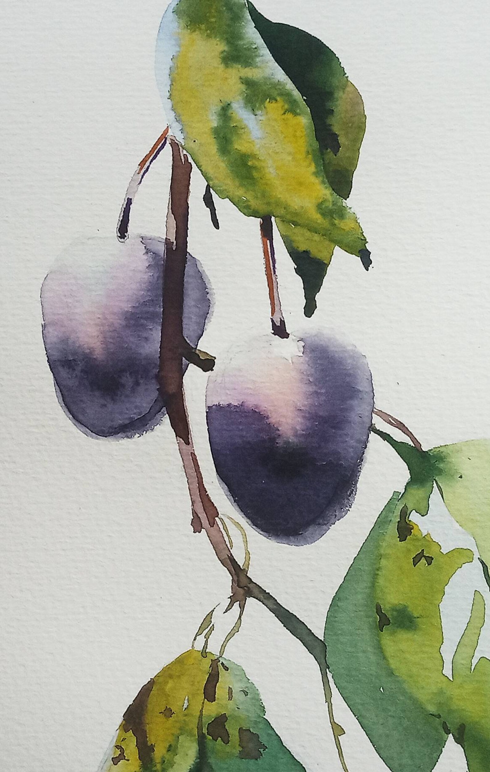 Plums watercolor painting fruit trees painting plums wall Etsy