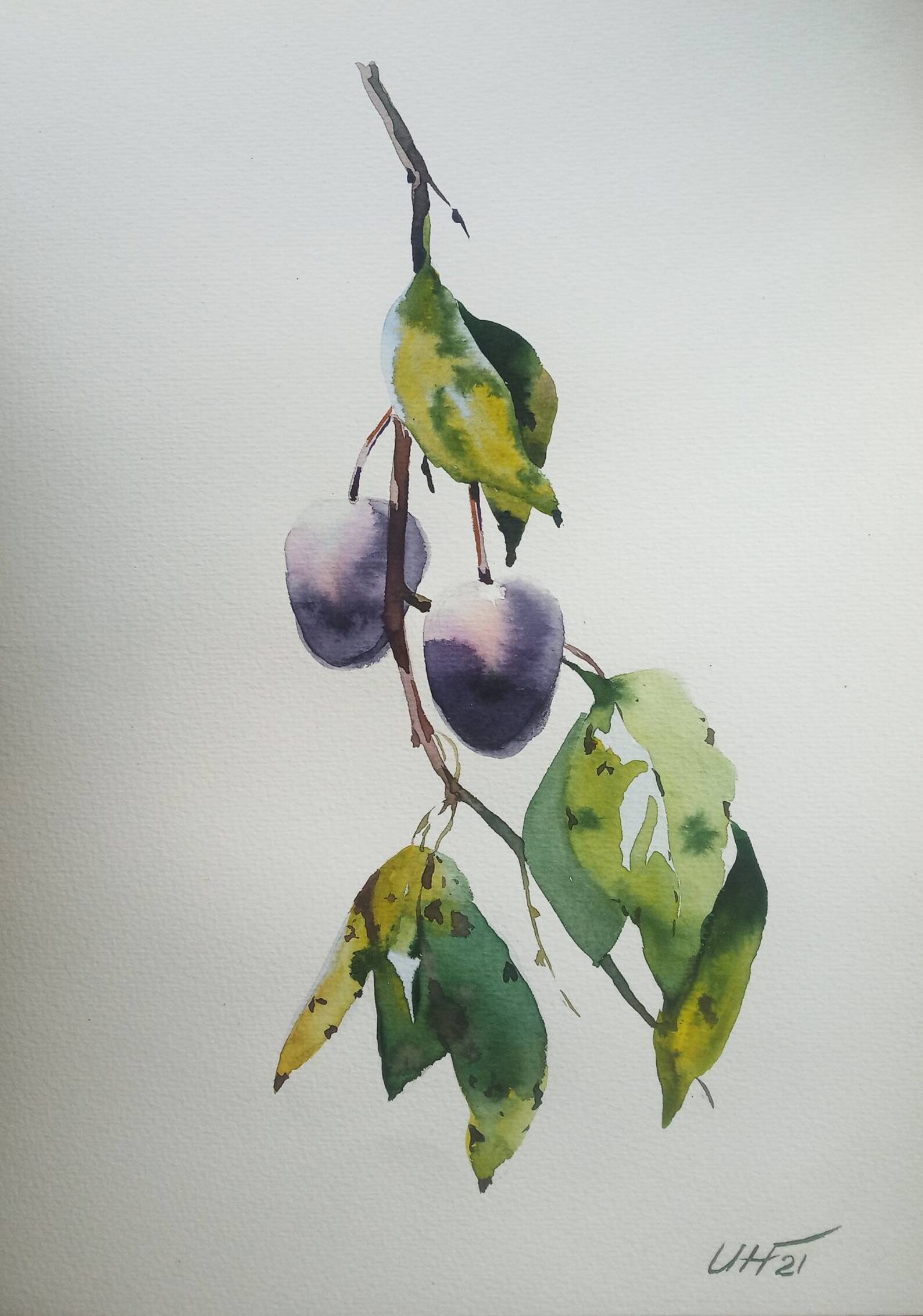 Plums watercolor painting fruit trees painting plums wall Etsy