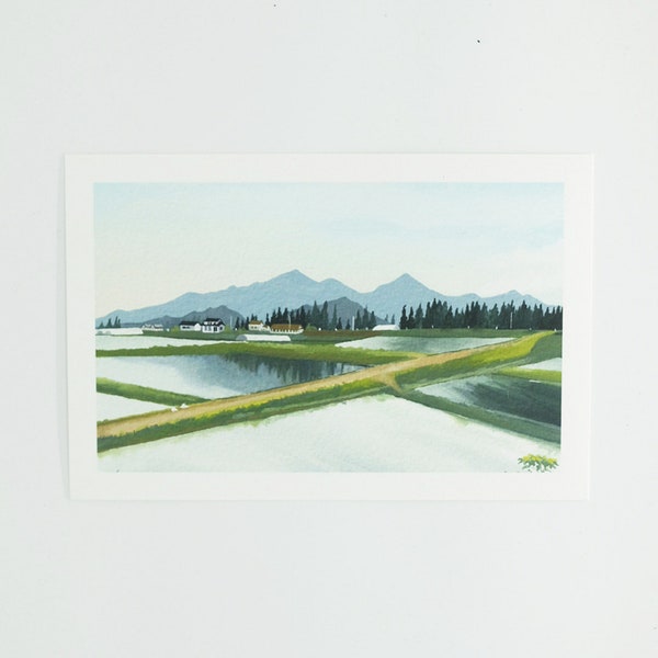 Rice paddies (giclée fine art print)