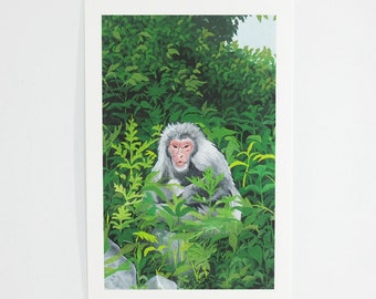 Monkey at Jigokudani Yaen Koen (giclée fine art print)