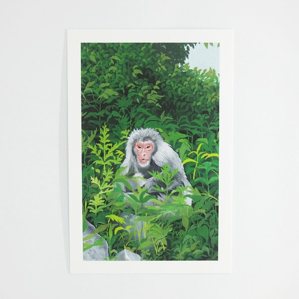 Monkey at Jigokudani Yaen Koen (giclée fine art print)