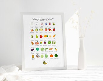 baby size chart by week not fruit