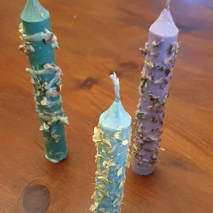 Candles decorated with herbs
