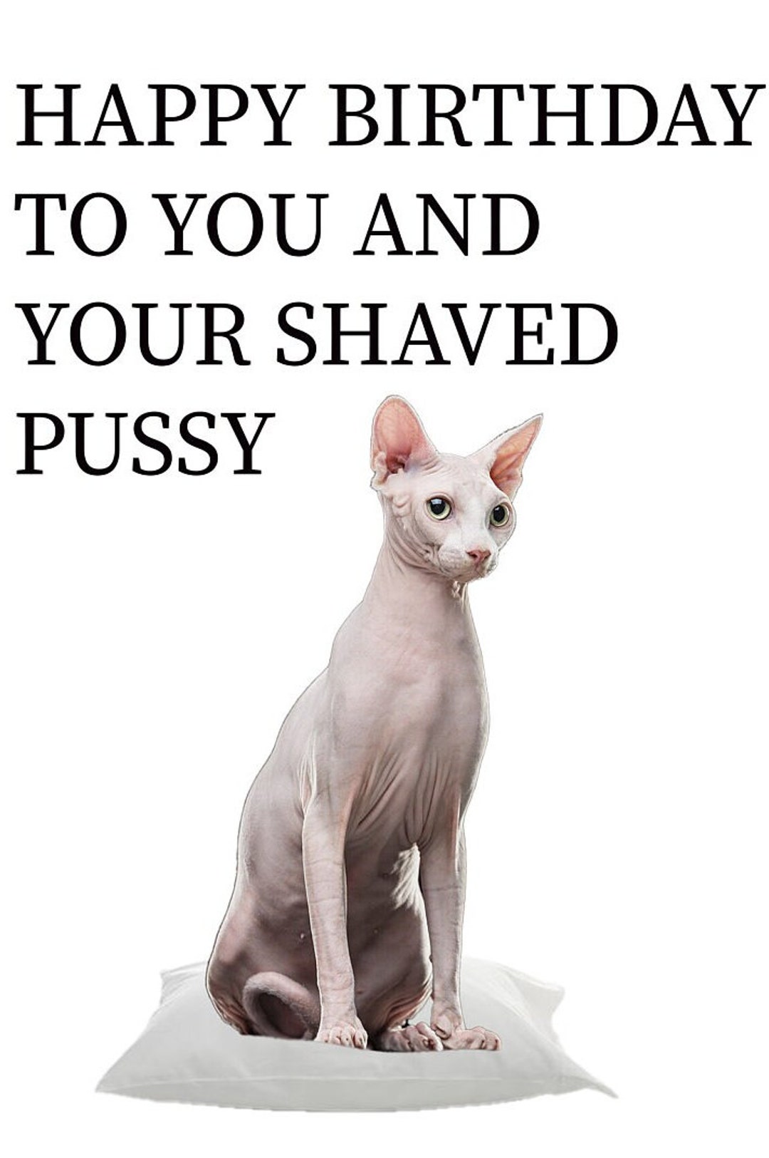 Funny Sphynx Hairless Cat Birthday Card Perfect for Cat Etsy UK