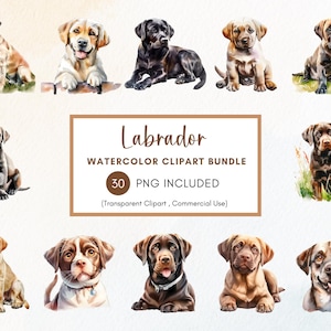 Aquarel labrador clipartbundel, hond clipart png, black lab png, hond clipart, commercieel gebruik, instant download