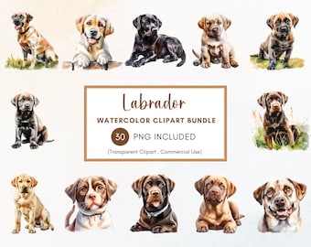 Paquete de imágenes prediseñadas de Labrador en acuarela, PNG de perro, uso comercial (descarga instantánea)