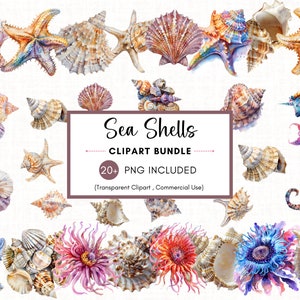 30 Sea Shells Clipart, Watercolor Seashells Clipart Bundle, High Quality PNG, Digital Download, Commercial Use, High Resolution PNG, 300 DPI