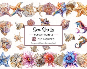 Watercolor Seashells Clipart Bundle, High Resolution PNG (Digital Download)