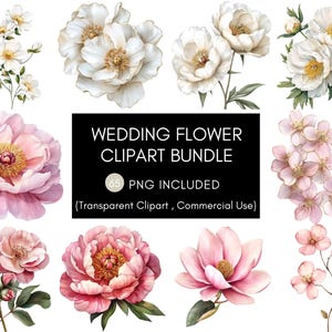 Hochzeit Blumen Clipart Bundle - 65 PNGs - Transparente Blumen Clipart, Pfingstrose, Magnolie, weiße und rosa Blüten, digitaler Download