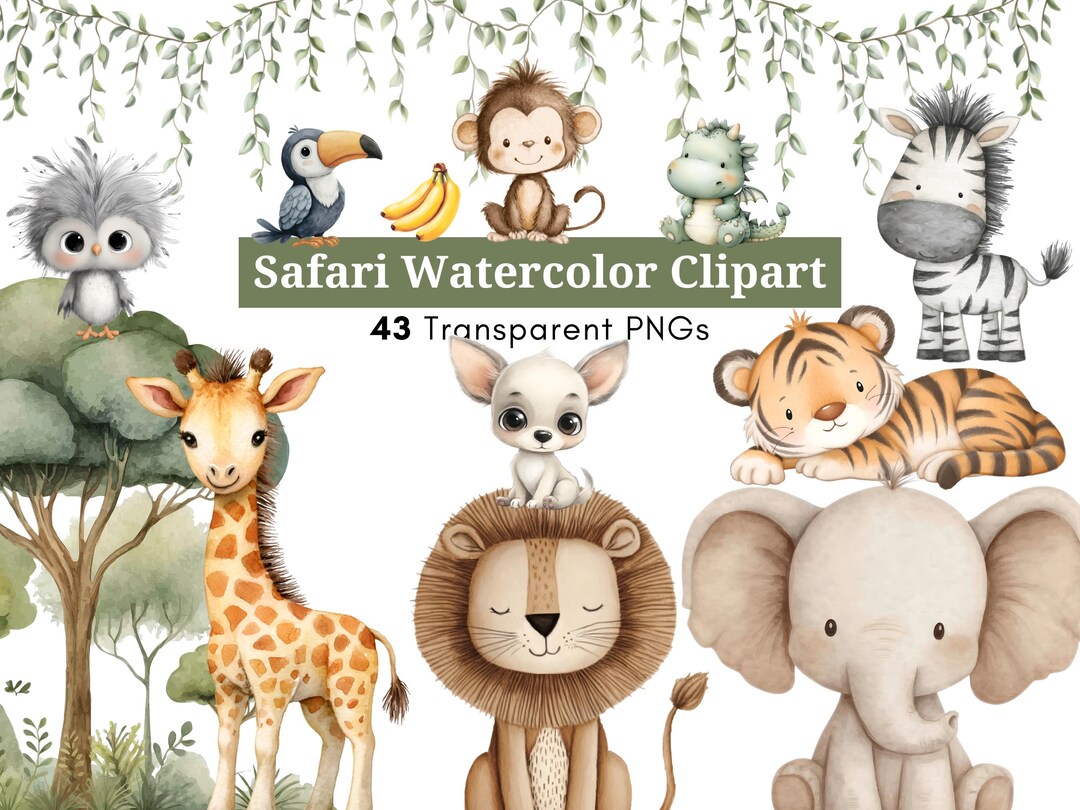 Safari Watercolor Animals Clipart | 43 Baby Jungle Animal Pngs ...