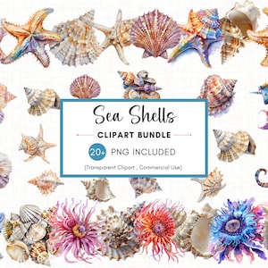 30 Seashells Clipart, Watercolor Seashells Clipart Bundle, High Quality PNG, Digital Download, Commercial Use, High Resolution PNG