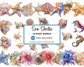 30 Seashells Clipart, Watercolor Seashells Clipart Bundle, High Quality PNG, Digital Download, Commercial Use, High Resolution PNG
