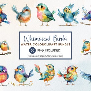 30 lindos imágenes prediseñadas de pájaros caprichosos, imágenes prediseñadas de pájaros divertidos, imágenes prediseñadas de acuarela, png de pájaros divertidos, PNG transparentes, uso comercial