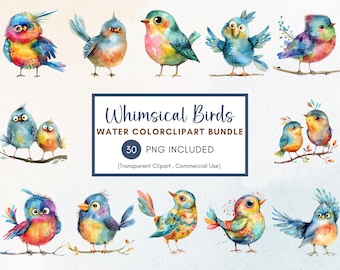 Imágenes prediseñadas de pájaros caprichosos, divertidas imágenes PNG de acuarela (30 archivos transparentes)