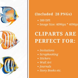 May include: A set of 28 digital clipart images of colorful fish. The images are 4096 pixels wide and 4096 pixels high, with a resolution of 300 DPI. The clipart is perfect for invitations, scrapbooking, stickers, wall art, journals, and story books.